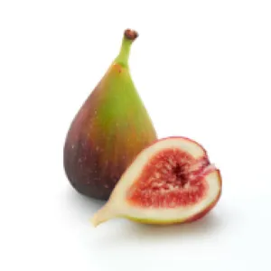 Fig Leaf & Magnolia