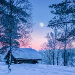 Nordic Wonderland